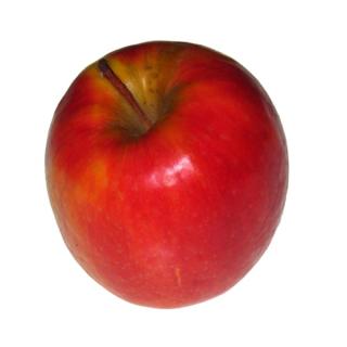Apfel Gala