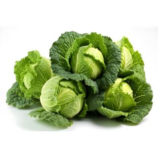 Weißkohl