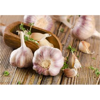 Knoblauch