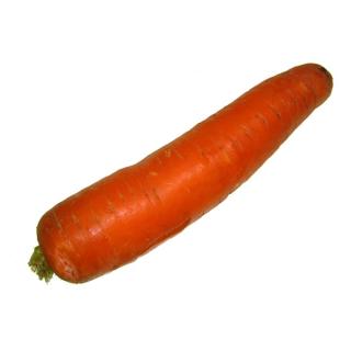 Frühmöhren