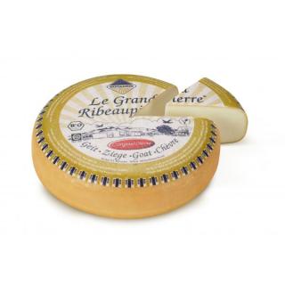 Ribeaupierre "Ziege"