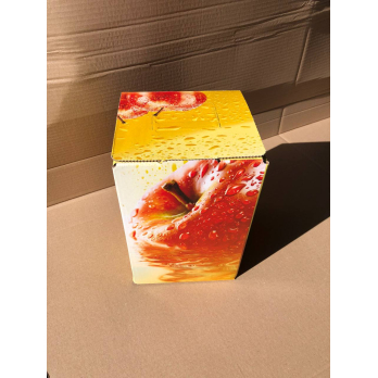 Bio - Apfelsaft (Ott-Mösbach) 5 Liter