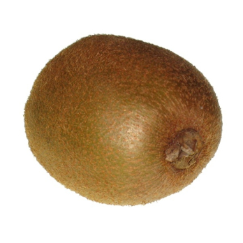 Kiwi grün