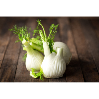 Fenchel Witt OG Weier