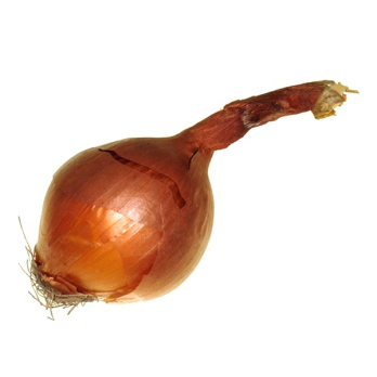 Zwiebeln gelb
